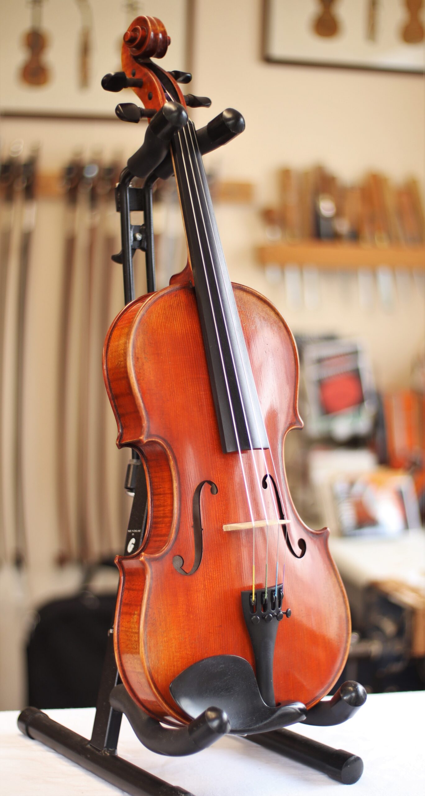 Eastman Young Master violin £750 Instruments For Sale